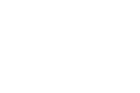 Securyline Logo